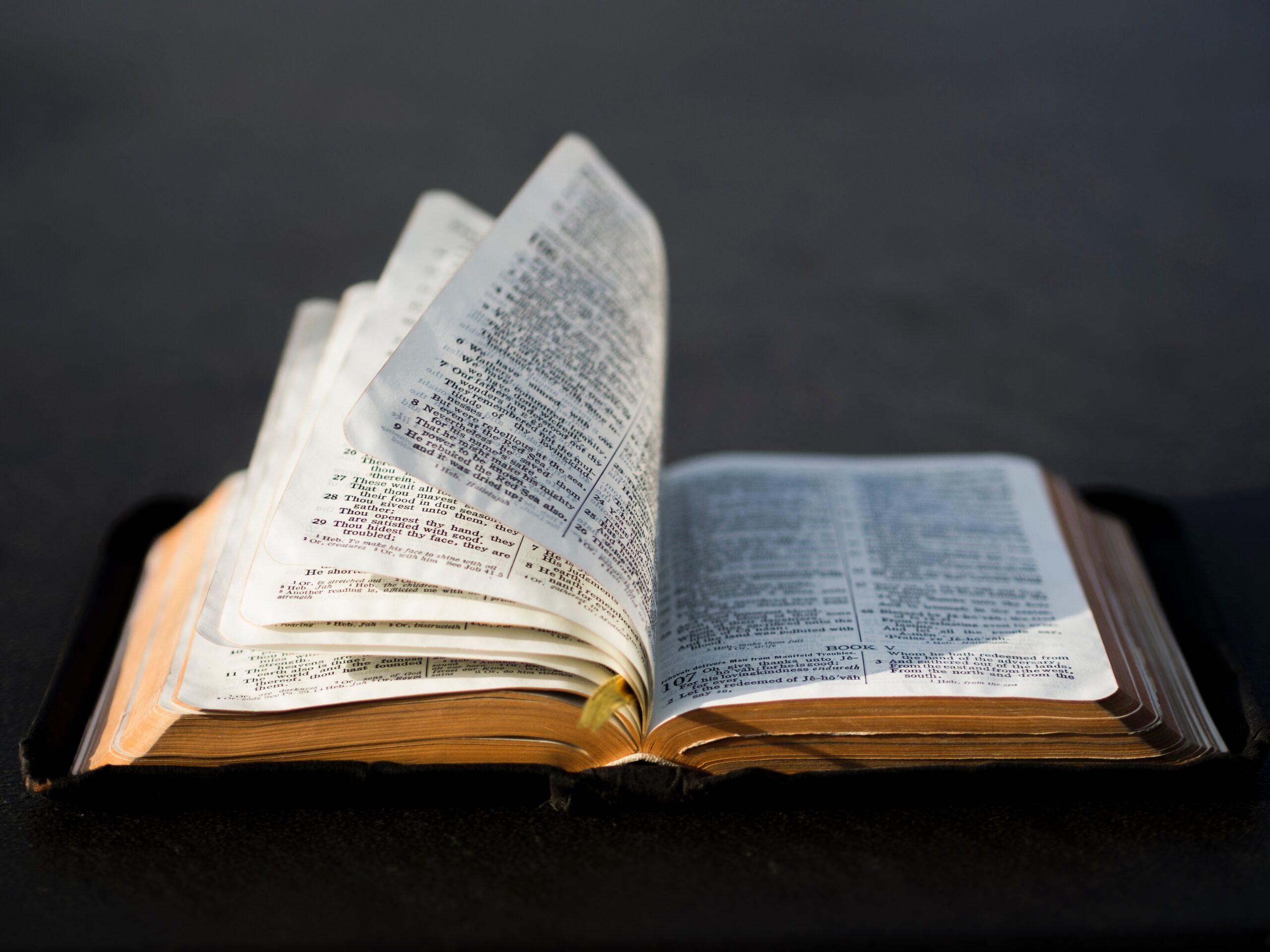 Do you know which book of the Bible is first? (Don’t Cheat)
