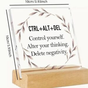 Vintage Style Inspirational Acrylic Desk Sign "Control Alt Delete"