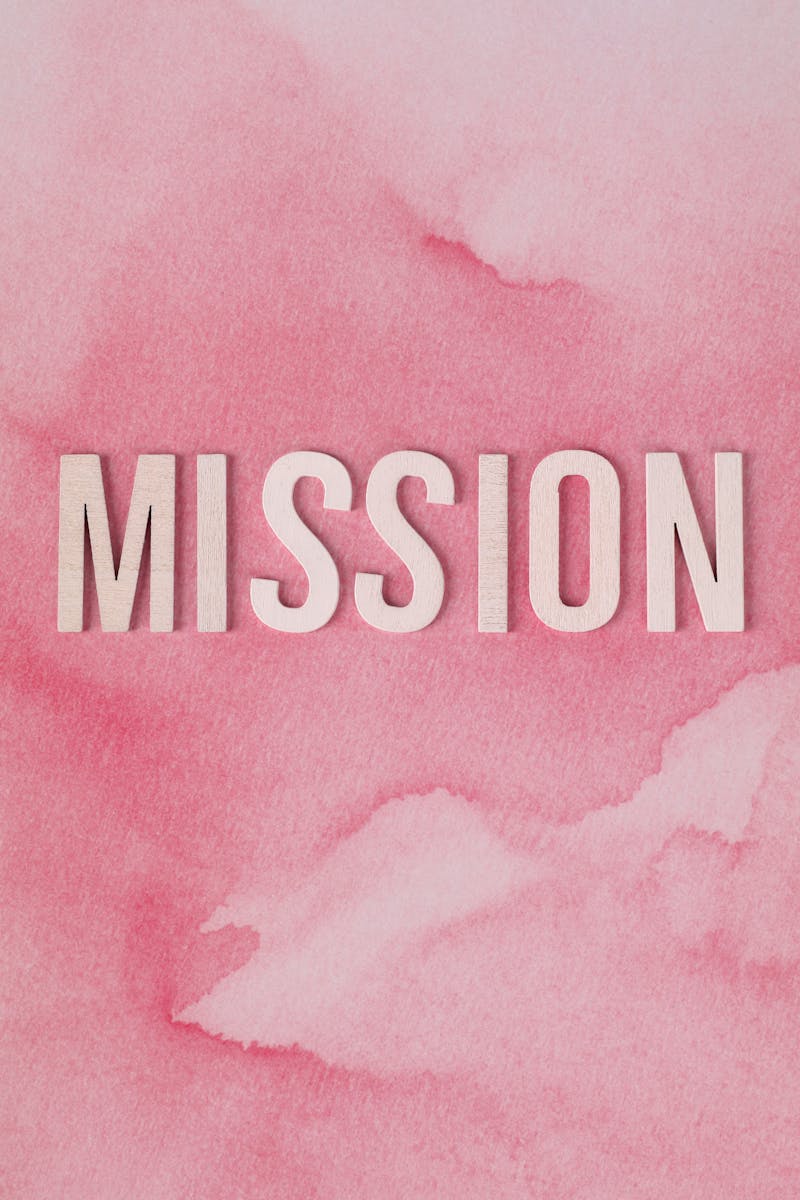 Inspirational text 'MISSION' on a pink watercolor background for motivation and goals.