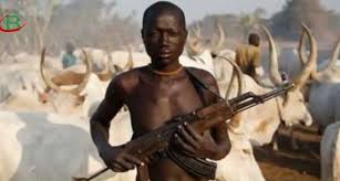 fulani herdsmen protecting livestock