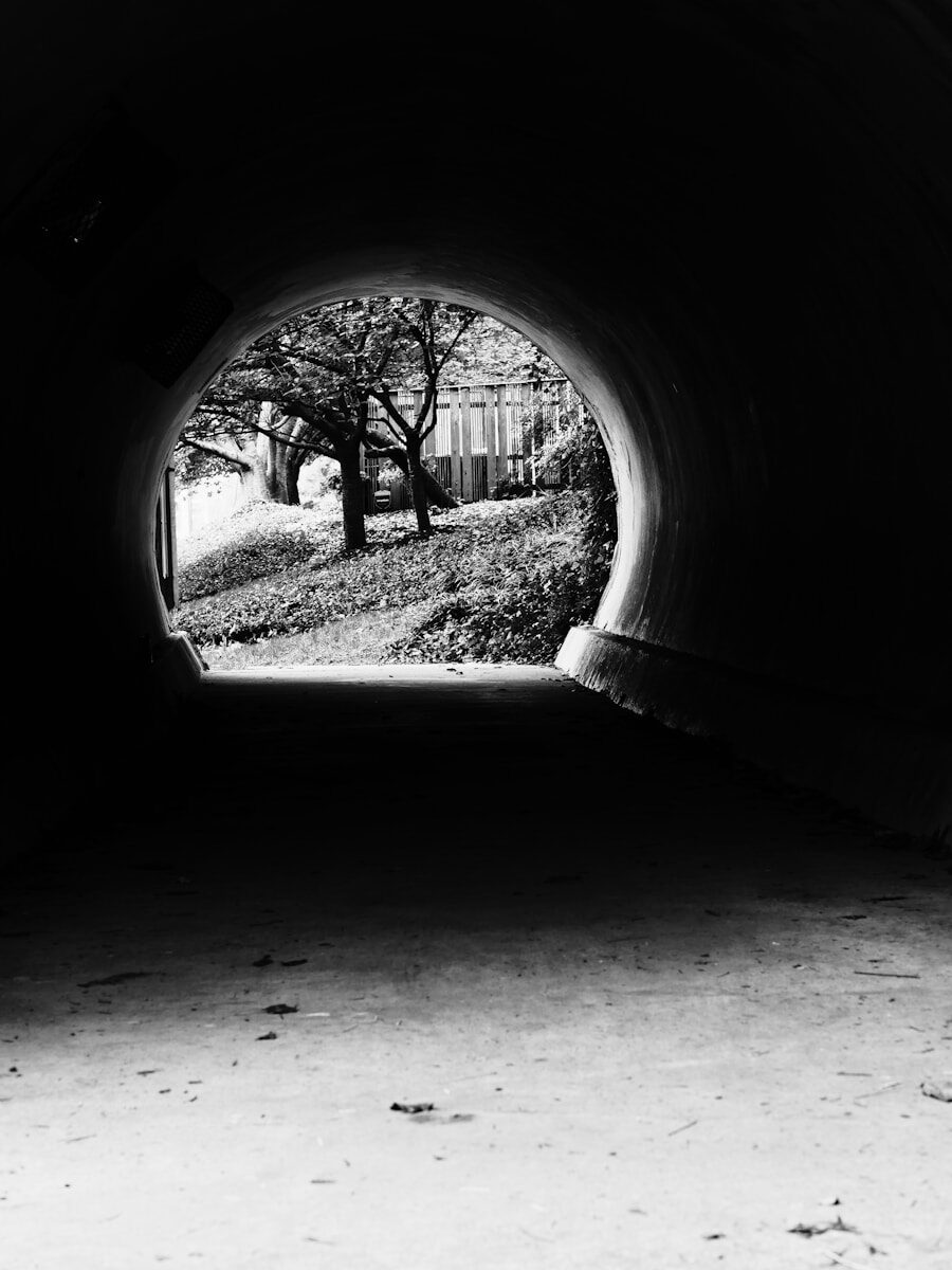 View through dark tunnel towards trees and sunlight.