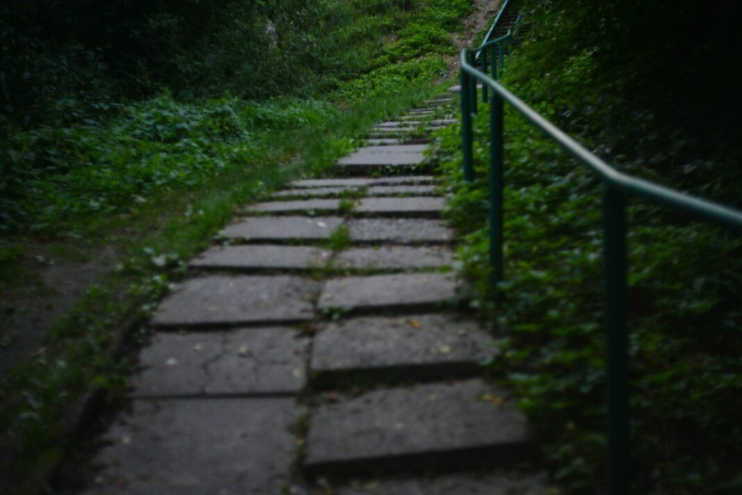A stone stairway winds up a grassy hill.